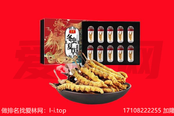 九江回收虫草.jpg